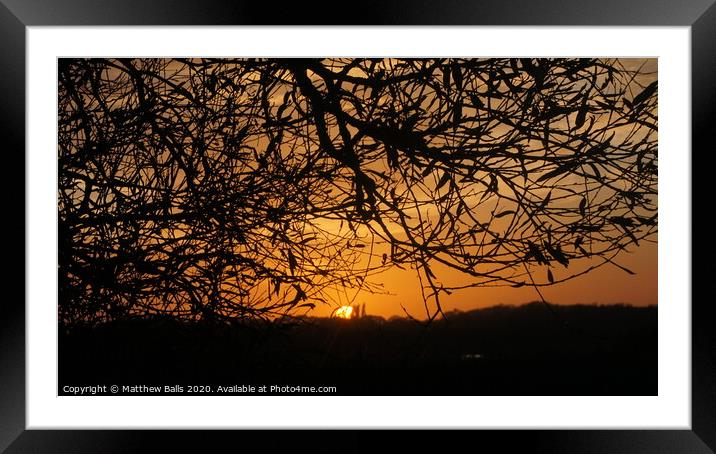 Sunsetting behind A tree Framed Mounted Print by Matthew Balls
