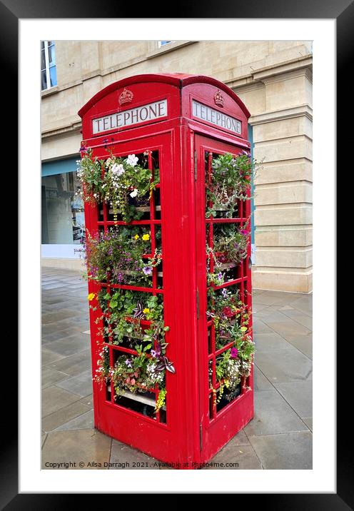 Red Telephone Box of Flowers Framed Mounted Print by Ailsa Darragh