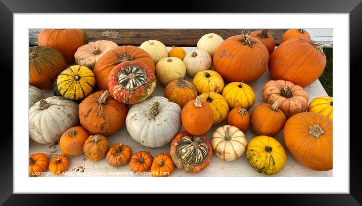 Pumpkin Display  Framed Mounted Print by Ailsa Darragh