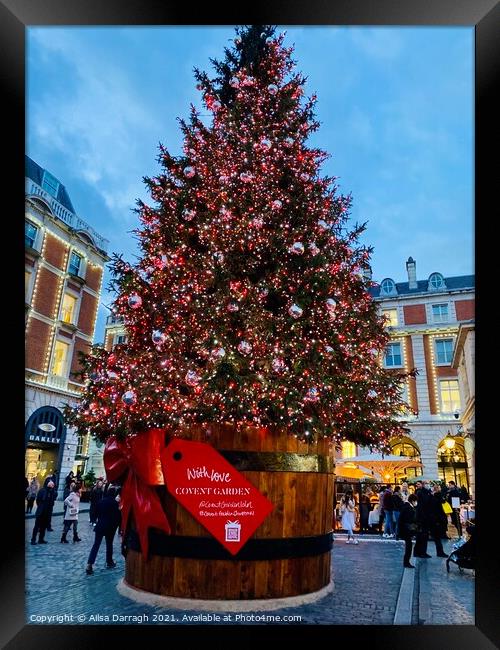 Covent Garden Christmas Tree, London Framed Print by Ailsa Darragh