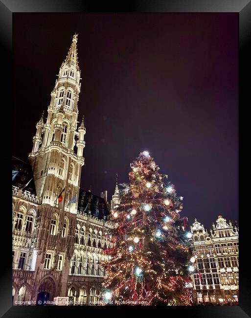 Grand Place Christmas Tree, Brussels  Framed Print by Ailsa Darragh