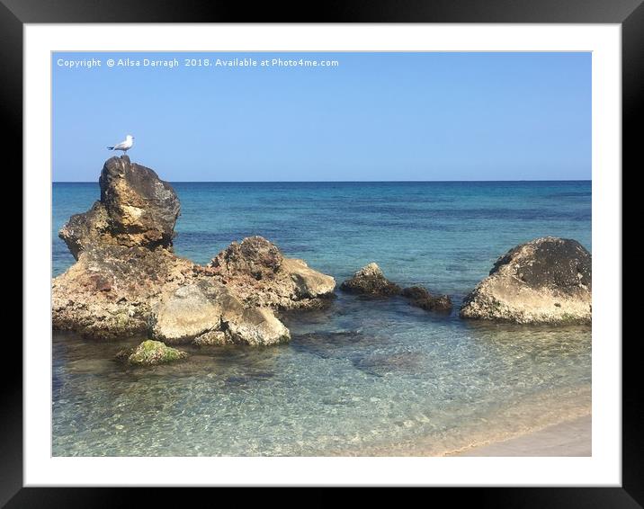 Seagull on Rocks, Cala Nova, Es Cana, Ibiza Framed Mounted Print by Ailsa Darragh