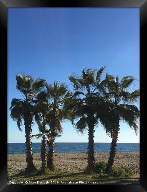 Palm Trees on La Cala beach Framed Print by Ailsa Darragh