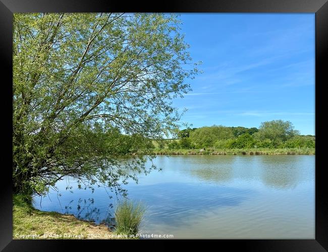 The lake at Cherry Orchard Country Park Framed Print by Ailsa Darragh