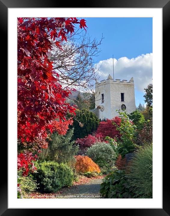 Autumn Trees in Grasmere Framed Mounted Print by Ailsa Darragh