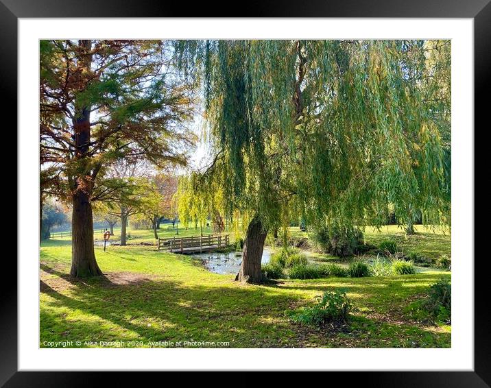 Chalkwell Park, Essex Framed Mounted Print by Ailsa Darragh