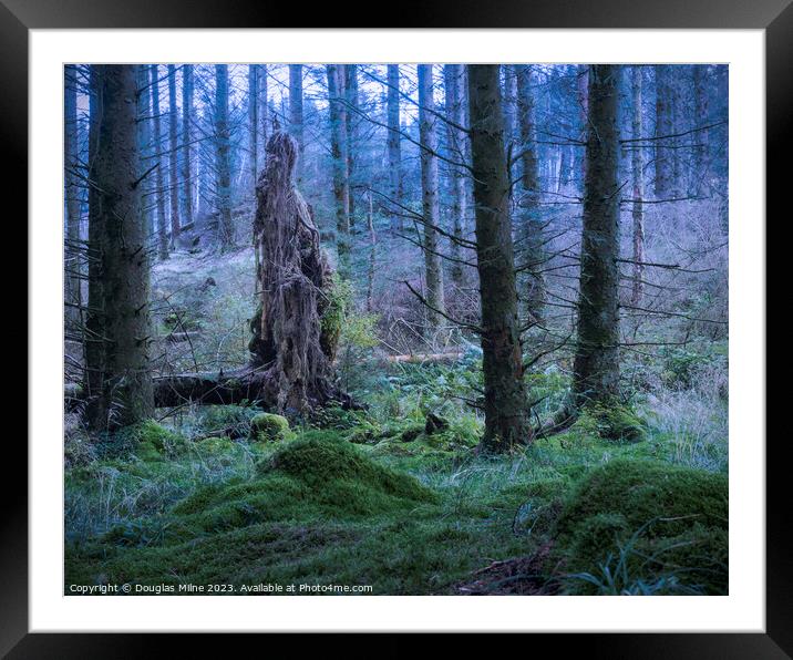 Garadhban Forest Framed Mounted Print by Douglas Milne