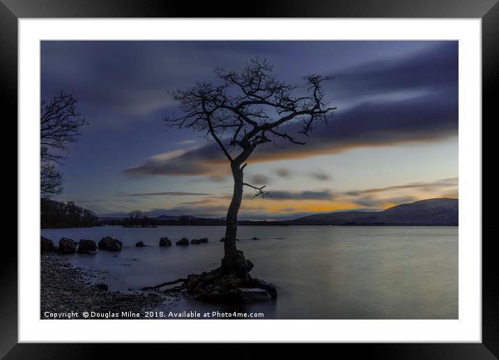 The Tree, Milarrochy Bay, Loch Lomond Framed Mounted Print by Douglas Milne