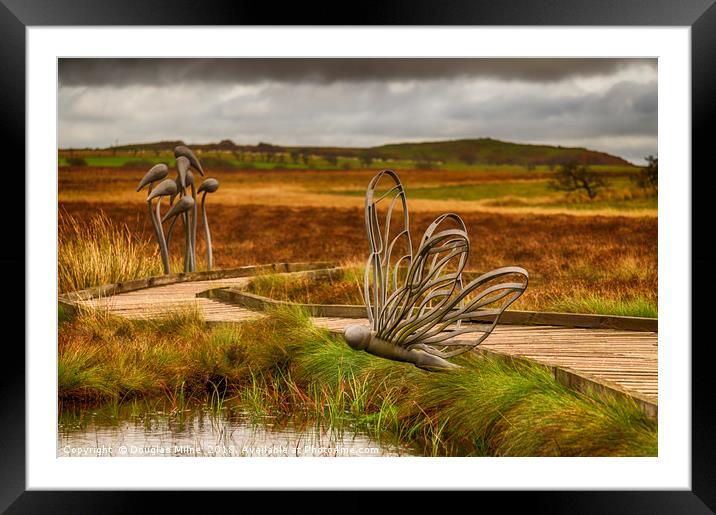 The Dragonfly and the Sporangium Framed Mounted Print by Douglas Milne