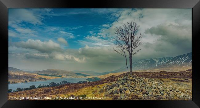 Lone Tree on Màm Carraigh, Overlooking Loch Tulla Framed Print by Douglas Milne