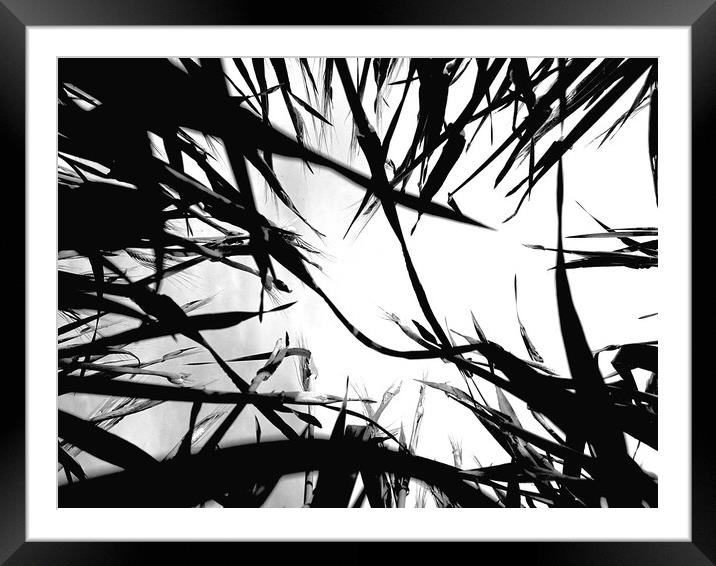 Ants view of the world Framed Mounted Print by Tom Baughen