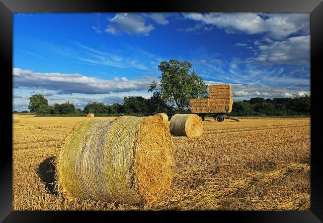 Straw Bales and Trailer Framed Print by William A Dobson