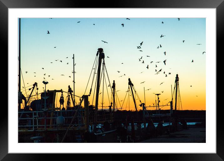 Silhouette of fishing boats and birds Framed Mounted Print by Clive Wells