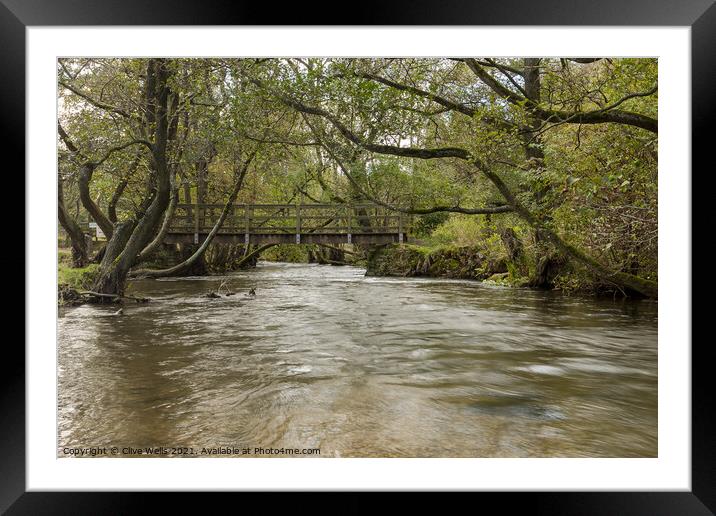 Wooden footbridge at Dovedale Framed Mounted Print by Clive Wells