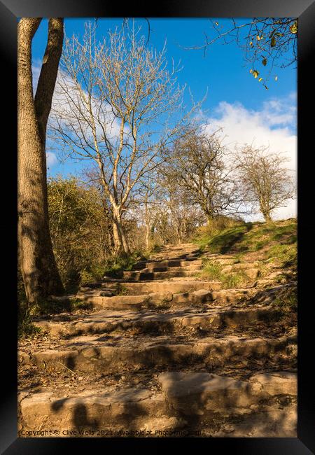 Up the steps at Dovedale Framed Print by Clive Wells