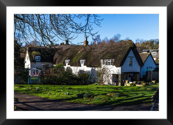 Whitewashed thatched cottage Framed Mounted Print by Clive Wells