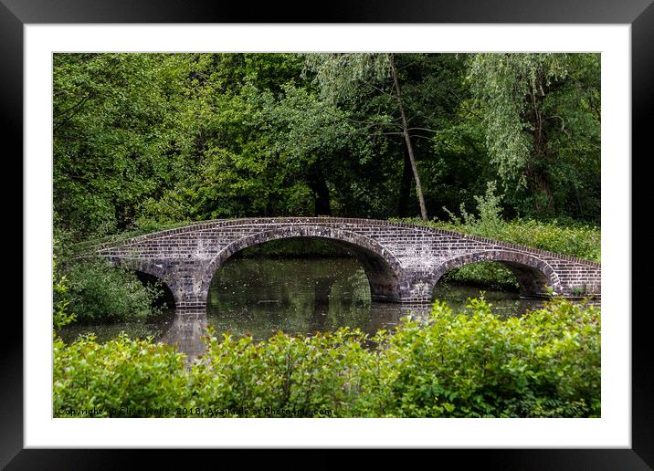 Chinese Bridge in Staunton Park Framed Mounted Print by Clive Wells