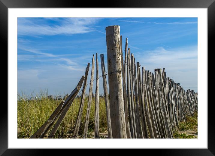 Beach fence Framed Mounted Print by Clive Wells