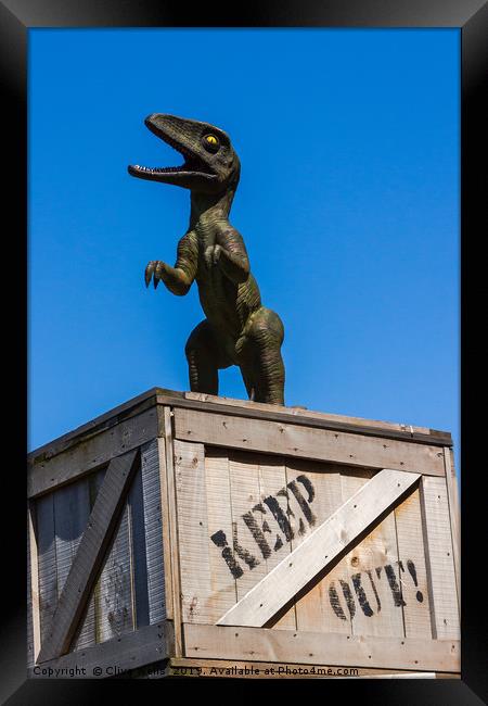Dino on a KEEP OUT box Framed Print by Clive Wells