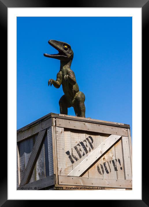 Dino on a KEEP OUT box Framed Mounted Print by Clive Wells
