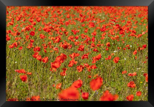 A Spread of Poppies Framed Print by Clive Wells