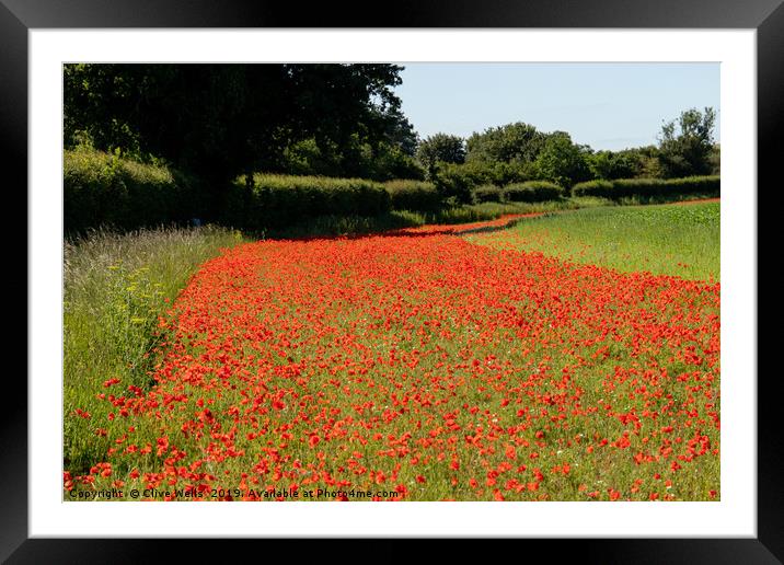 Edging of Poppies Framed Mounted Print by Clive Wells
