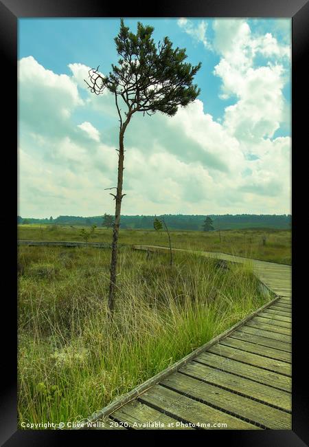 Lone tree next to boardwalk at wolverton in Norfol Framed Print by Clive Wells