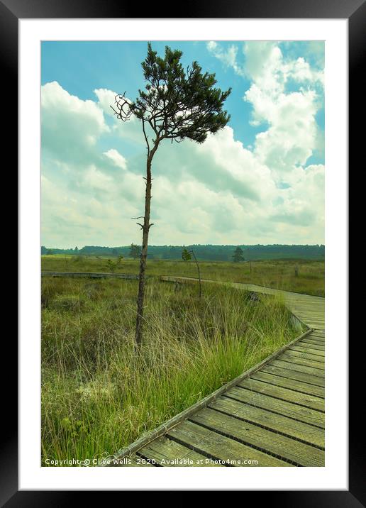 Lone tree next to boardwalk at wolverton in Norfol Framed Mounted Print by Clive Wells