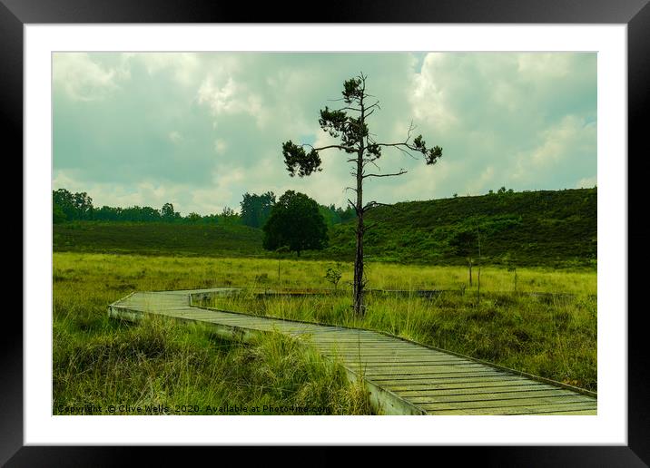 Boardwalk with single small tree at Wolverton in N Framed Mounted Print by Clive Wells