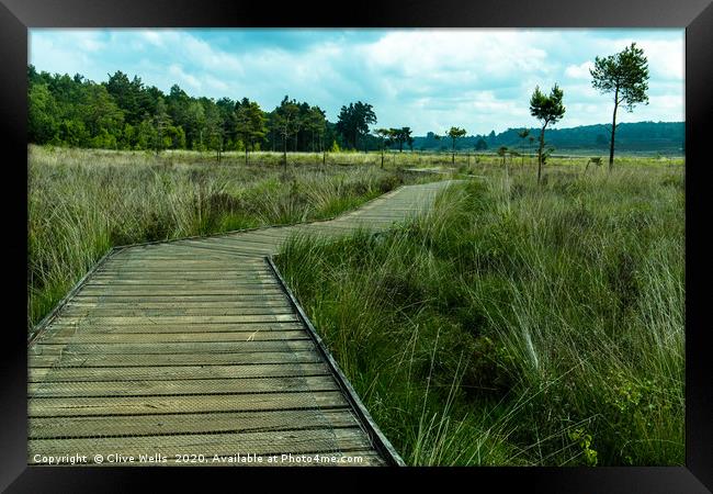 View along the boardwalk at Wolverton in Norfolk Framed Print by Clive Wells