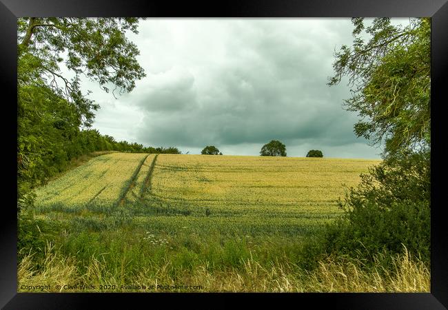 Tractor marks in the corn field at Blisworth, Nort Framed Print by Clive Wells