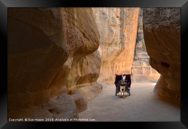 Horse buggy at Petra Framed Print by Sue Hoppe