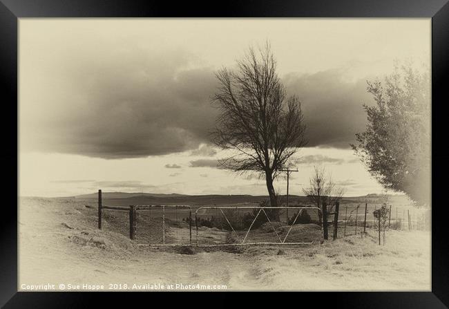Nostalgic Farm Gate in winter Framed Print by Sue Hoppe