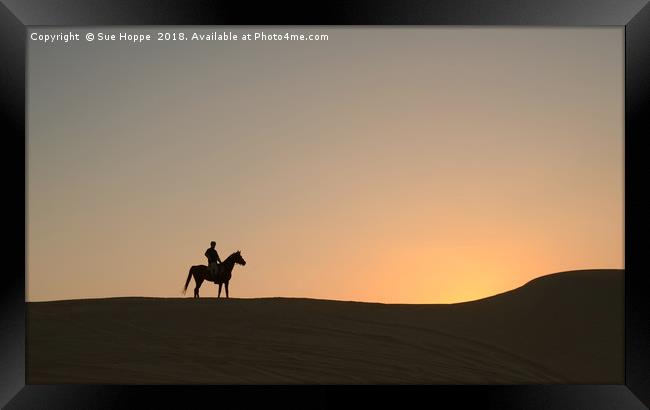 Arabian Horse with desert sunset Framed Print by Sue Hoppe