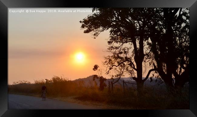 Cyclist at sunset in Zimbabwe Framed Print by Sue Hoppe
