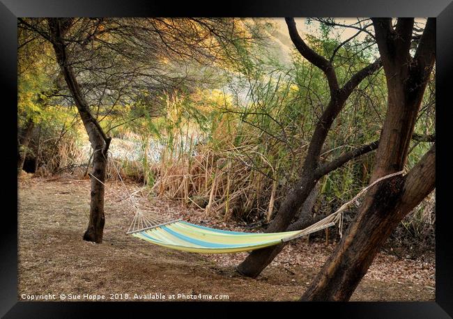 Hammock in trees on river bank Framed Print by Sue Hoppe