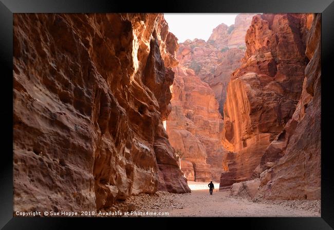 Sunrise paints rose coloured rocks at Petra Framed Print by Sue Hoppe