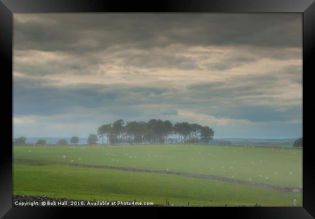 Arbor low Framed Print by Bob Hall