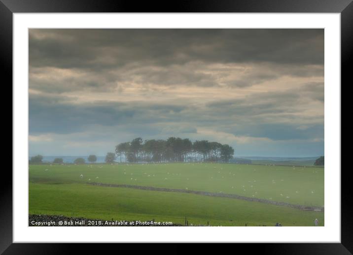 Arbor low Framed Mounted Print by Bob Hall