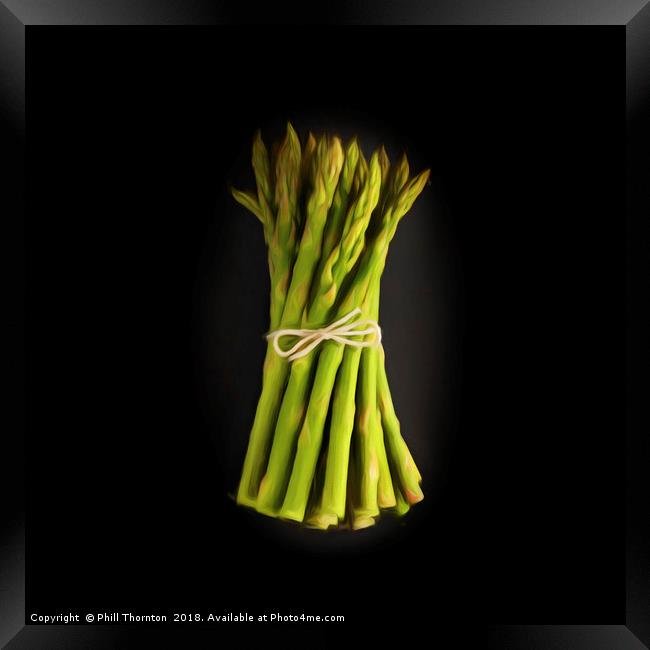 A bunch of fresh Asparagus. Framed Print by Phill Thornton