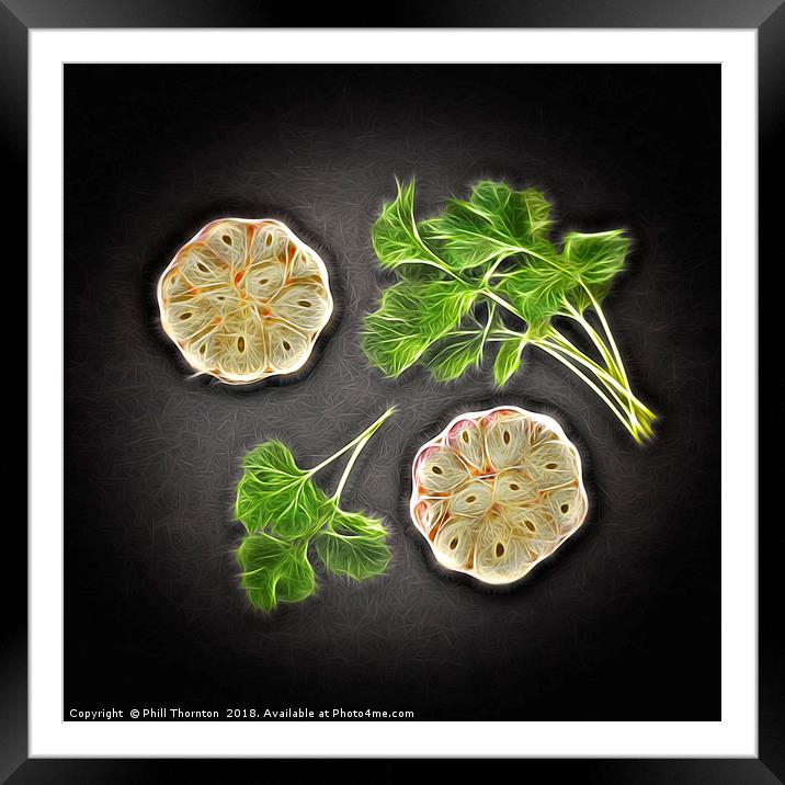 Coriander & Garlic still life. Framed Mounted Print by Phill Thornton