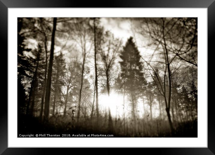 Winton Woods Sepia version. Framed Mounted Print by Phill Thornton