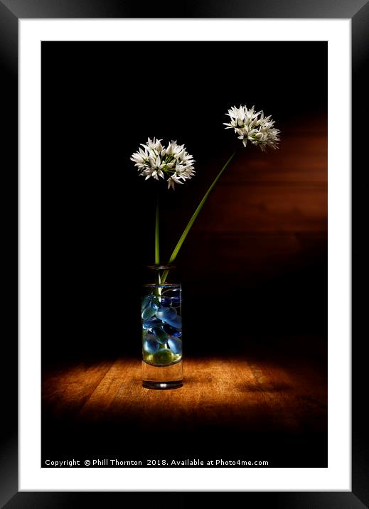 Wild Garlic flower Framed Mounted Print by Phill Thornton