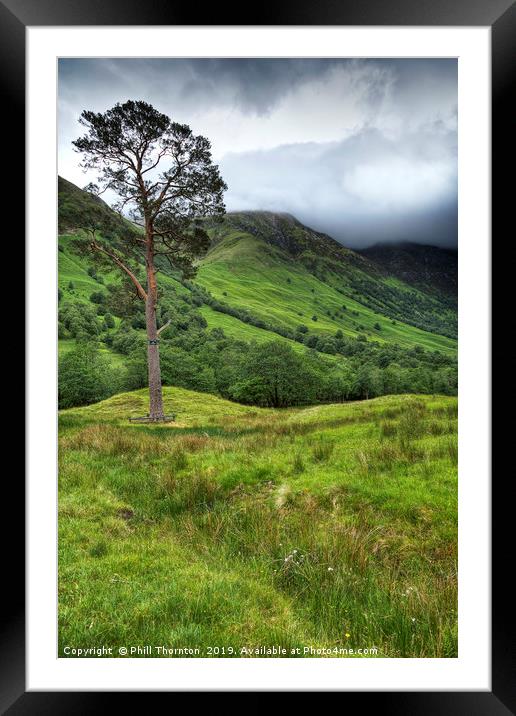 The foot hills of Ben Nevis Framed Mounted Print by Phill Thornton