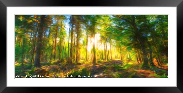 Sunset in the woods Framed Mounted Print by Phill Thornton