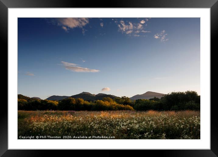 Summer meadows and evening skies, Lake District Framed Mounted Print by Phill Thornton