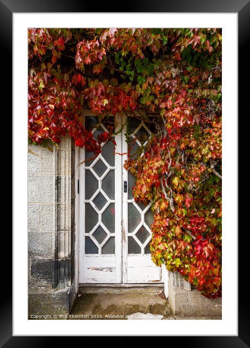 Wooden door, surrounded by ivy. Framed Mounted Print by Phill Thornton