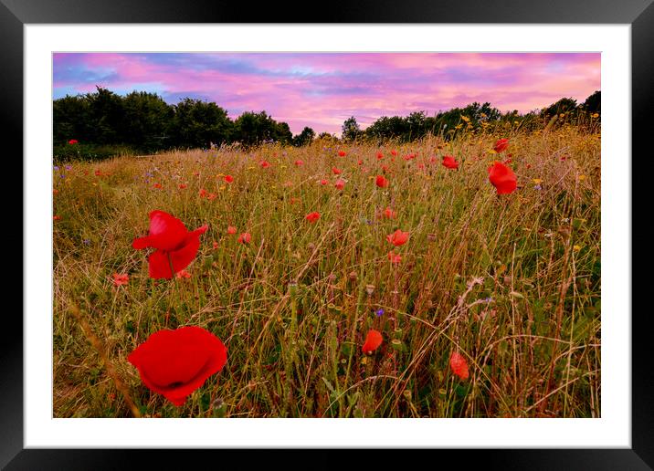 Sunset over the Cotswolds Framed Mounted Print by Scott Paul