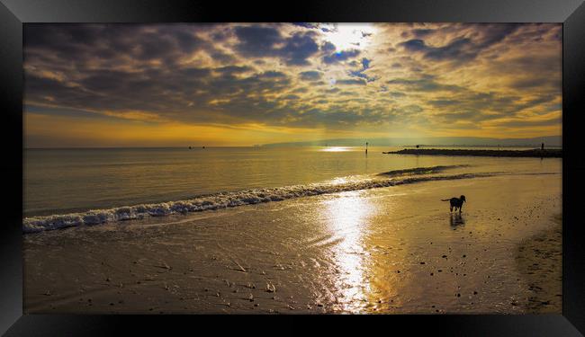 Stunning Sandbanks sunset Framed Print by Steve Mantell