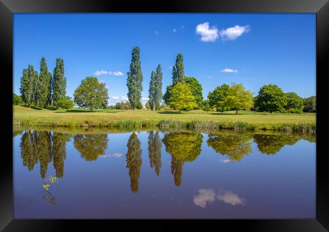 Picture Perfect Pond Framed Print by Steve Mantell